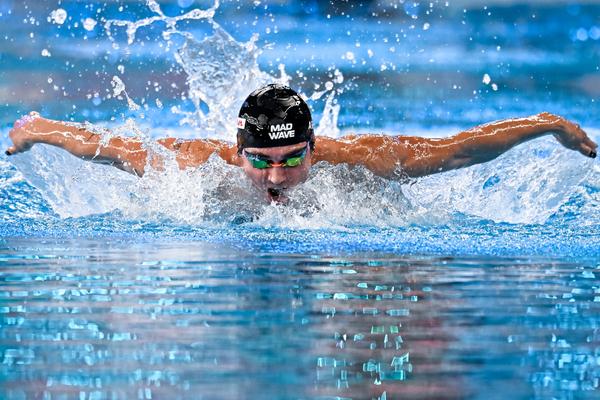 Disciplina Natación